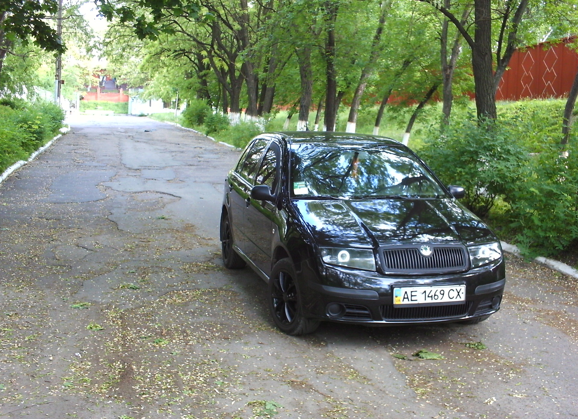 Маленька фотосесія 4