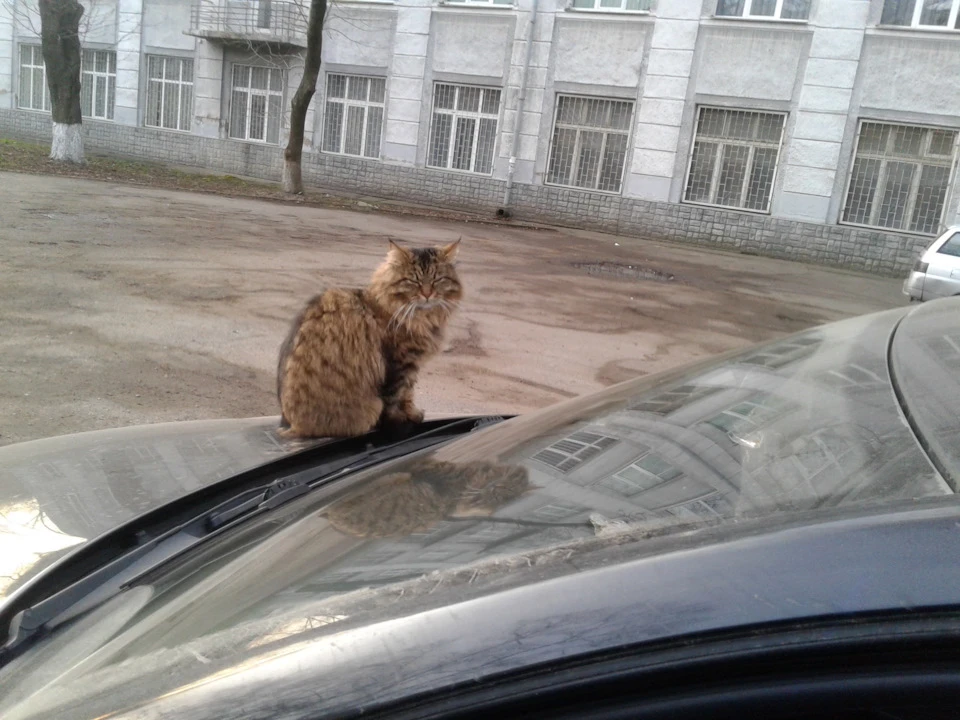 Можлива поломка.