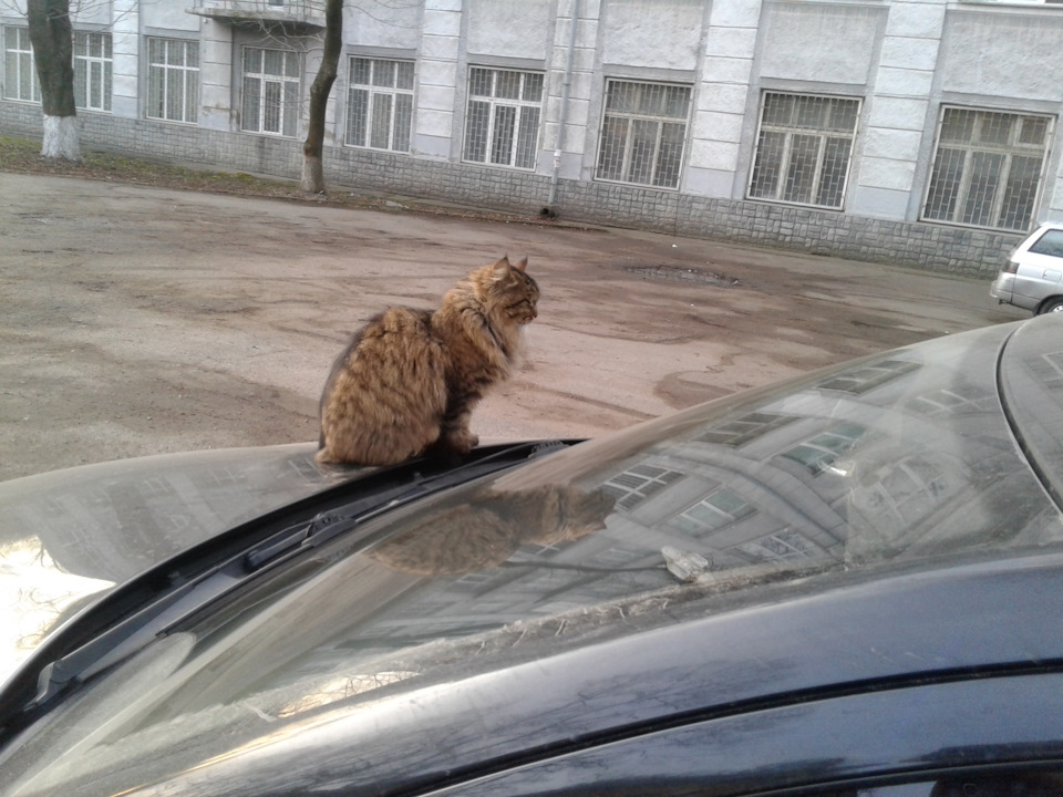 Можлива поломка. 2