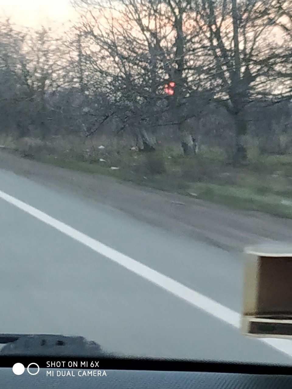 Зайнявся питанням про заміну шин 3