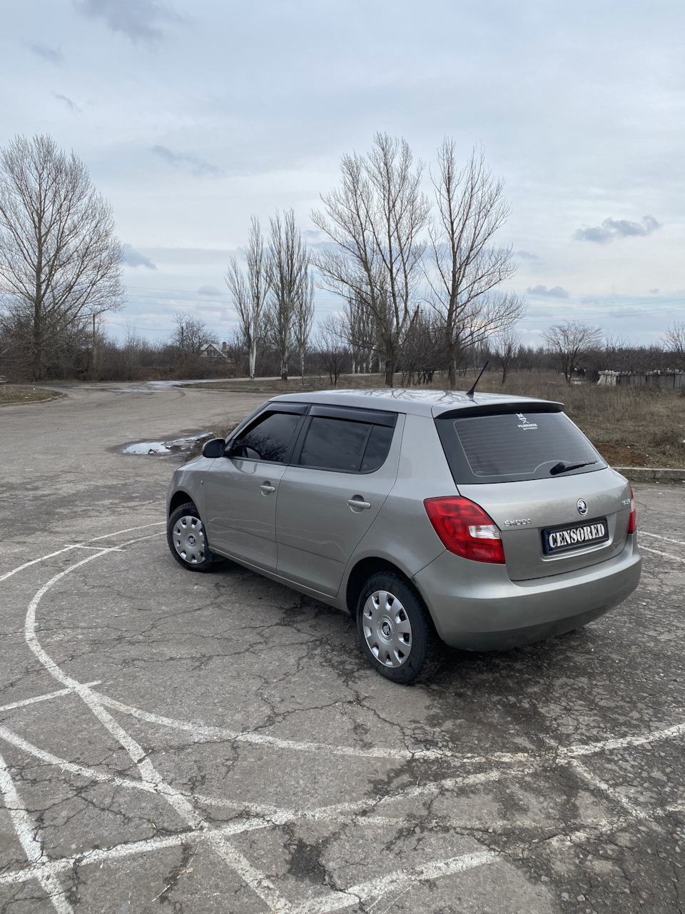 Молдинг для захисту дверей Skoda Fabia II 2