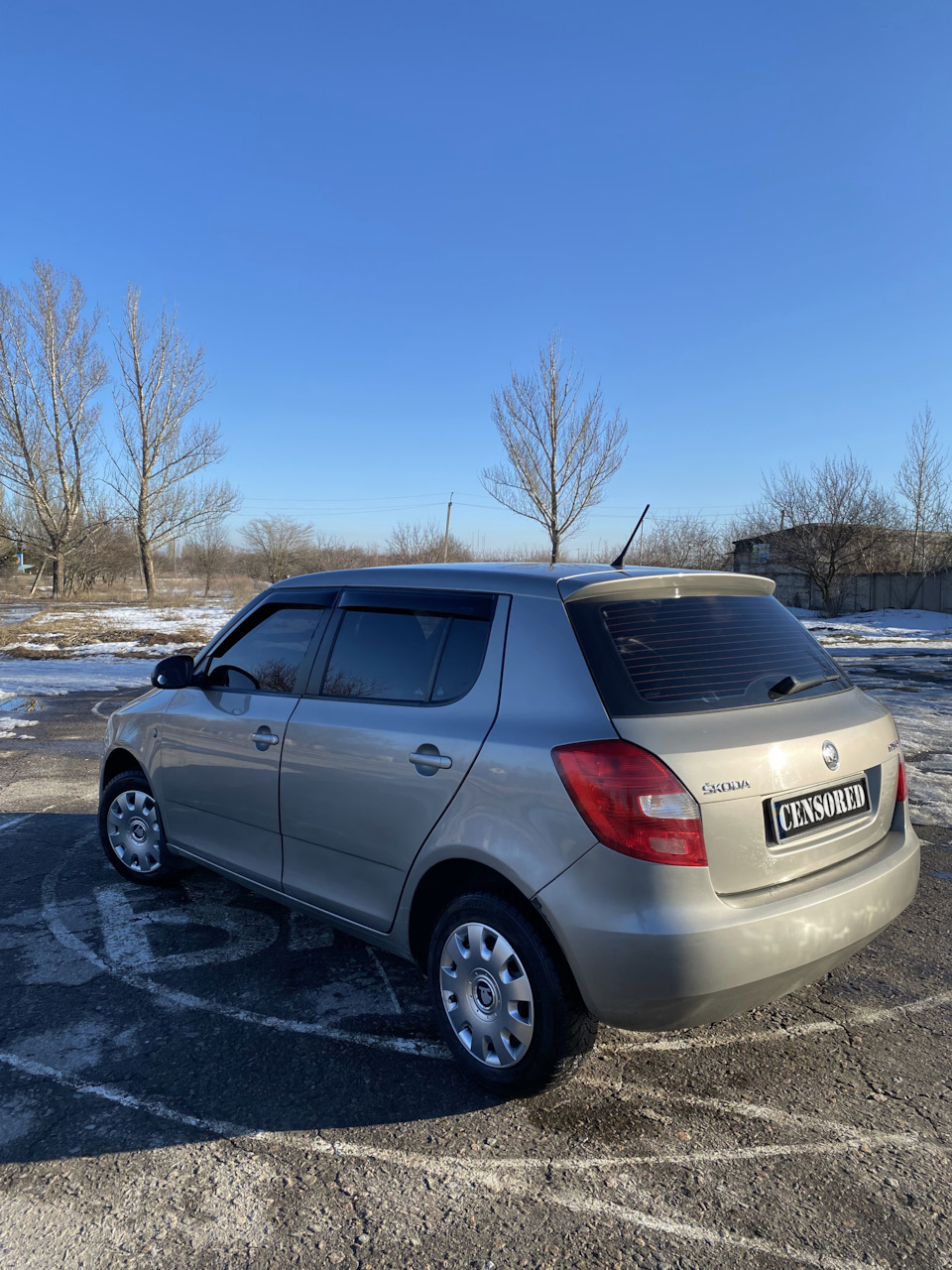 Молдинг для захисту дверей Skoda Fabia II 1