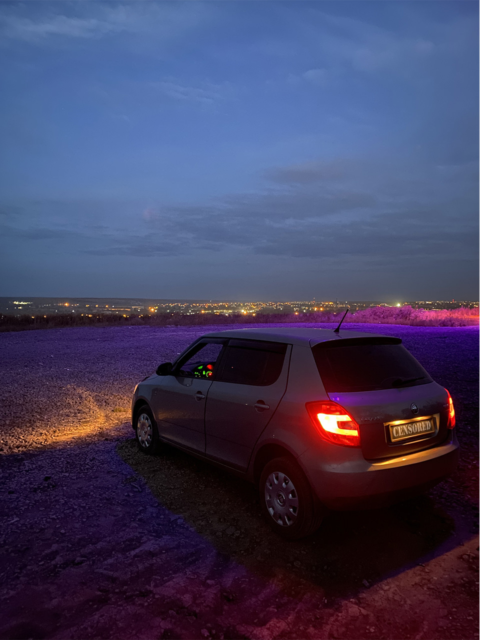 Світлодіодне освітлення в салоні та підсвічування номера Skoda Fabia II 1