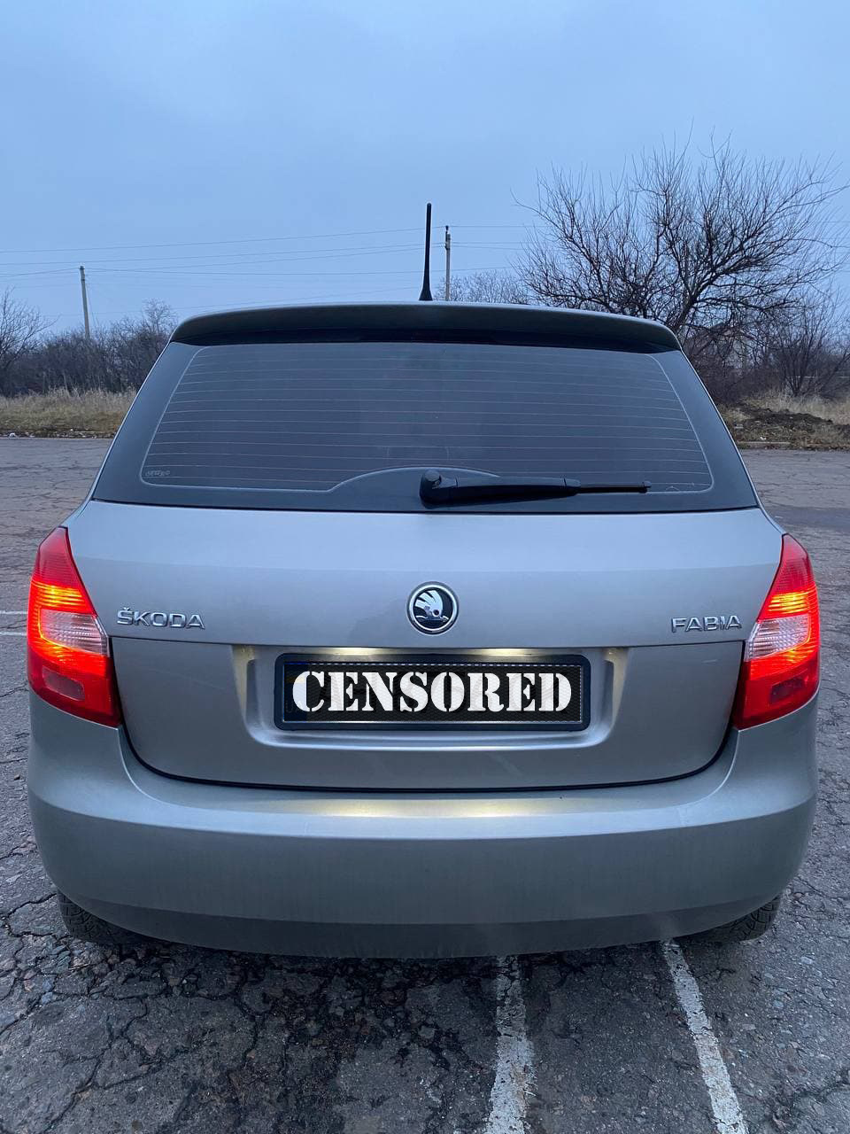 Світлодіодне освітлення в салоні та підсвічування номера Skoda Fabia II 2