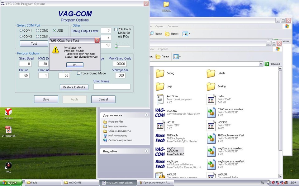 Vag Com 409.1 1