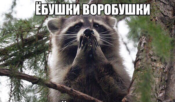 200к 1