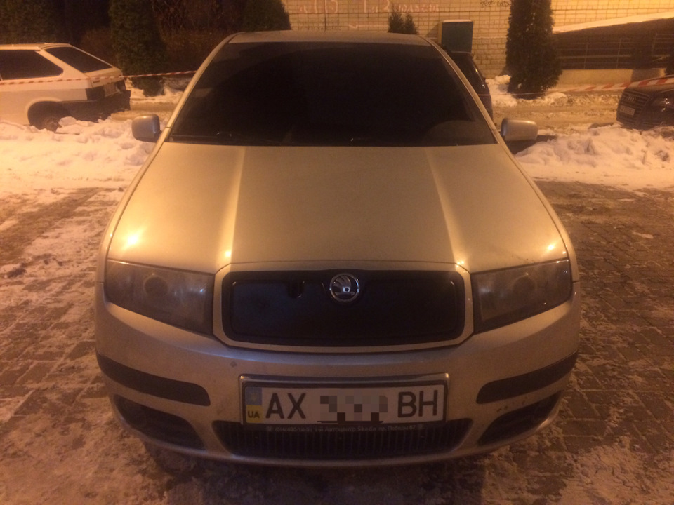 Зимова накладка на радіаторні грати 1
