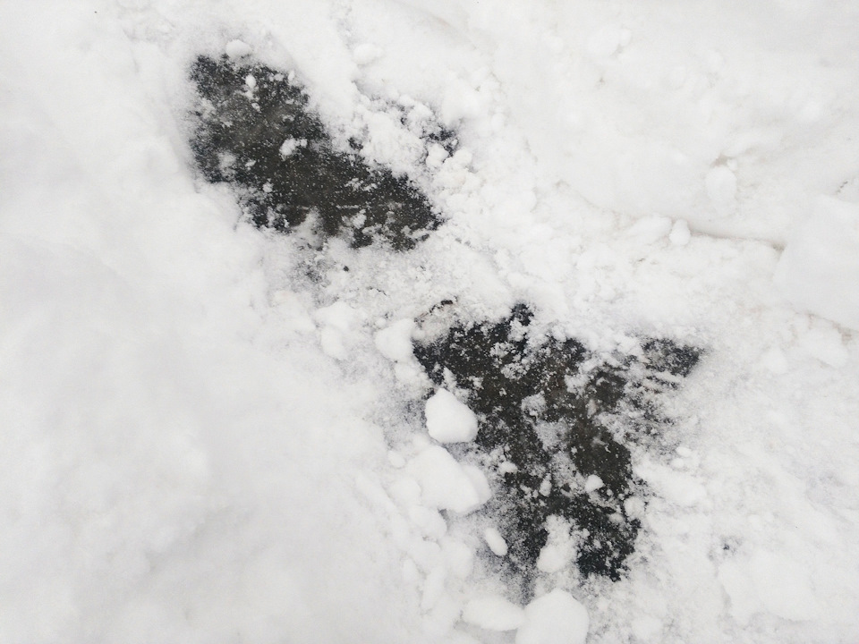 Goodyear UltraGrip Ice Arctic (шип) - перша зима. Відгук. 4