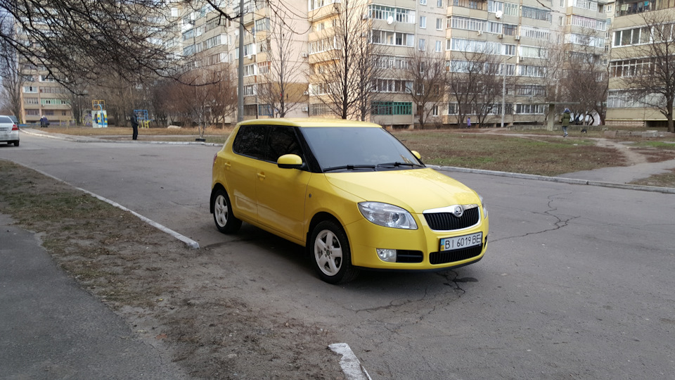 Рік без Фабії 1