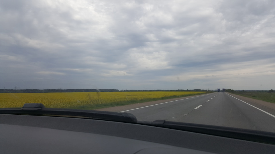 Як Миша постаріла на 2500 км за 6 днів. Або де в Україні Є ХОРОШІ ДОРОГИ 😊 3