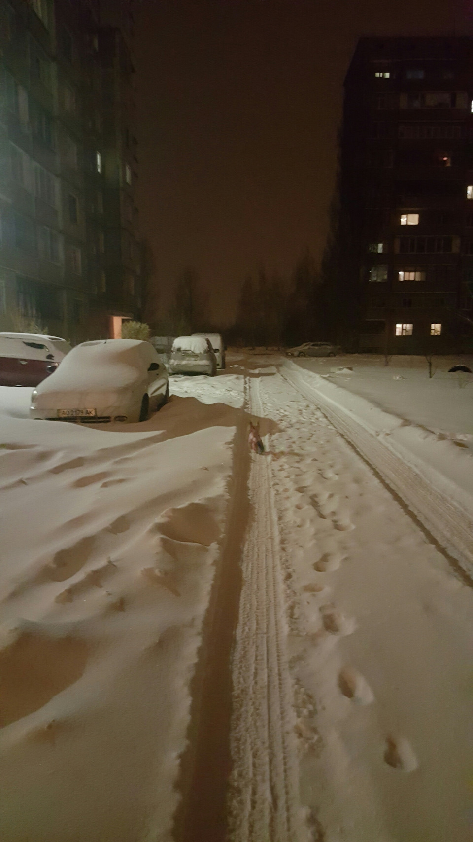 Замело 4