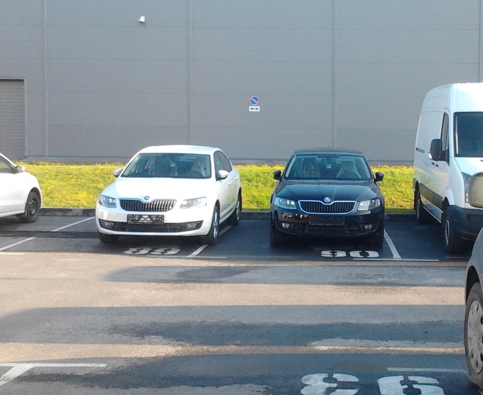 Skoda Octavia 3 вже в Росії 1
