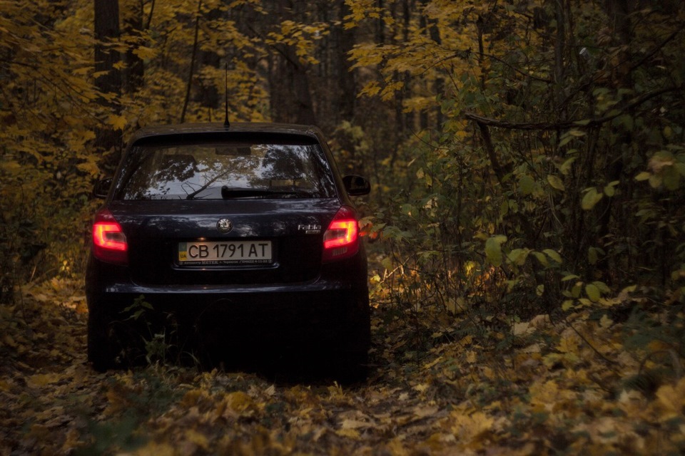 Осень 2013 =) 4