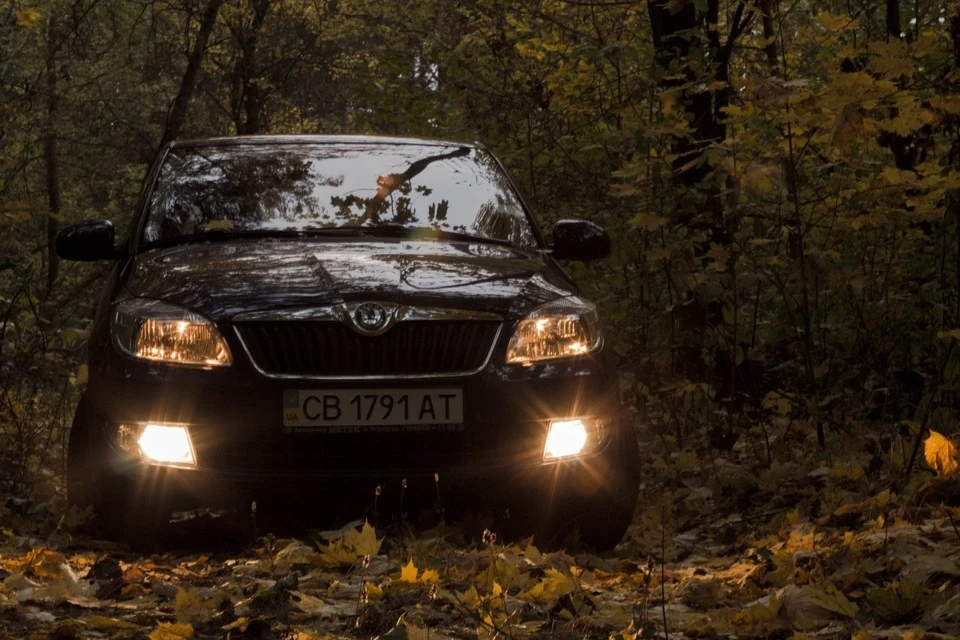 Осень 2013 =)