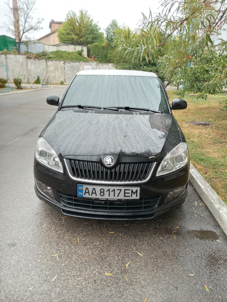 Шабля в плівку. 3