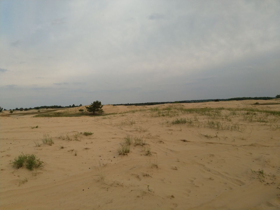 Пустеля Харків 3