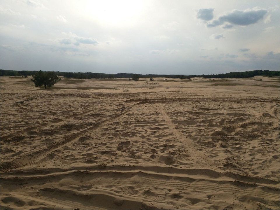 Пустеля Харків 2