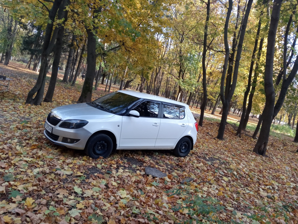 Сніжок. 3