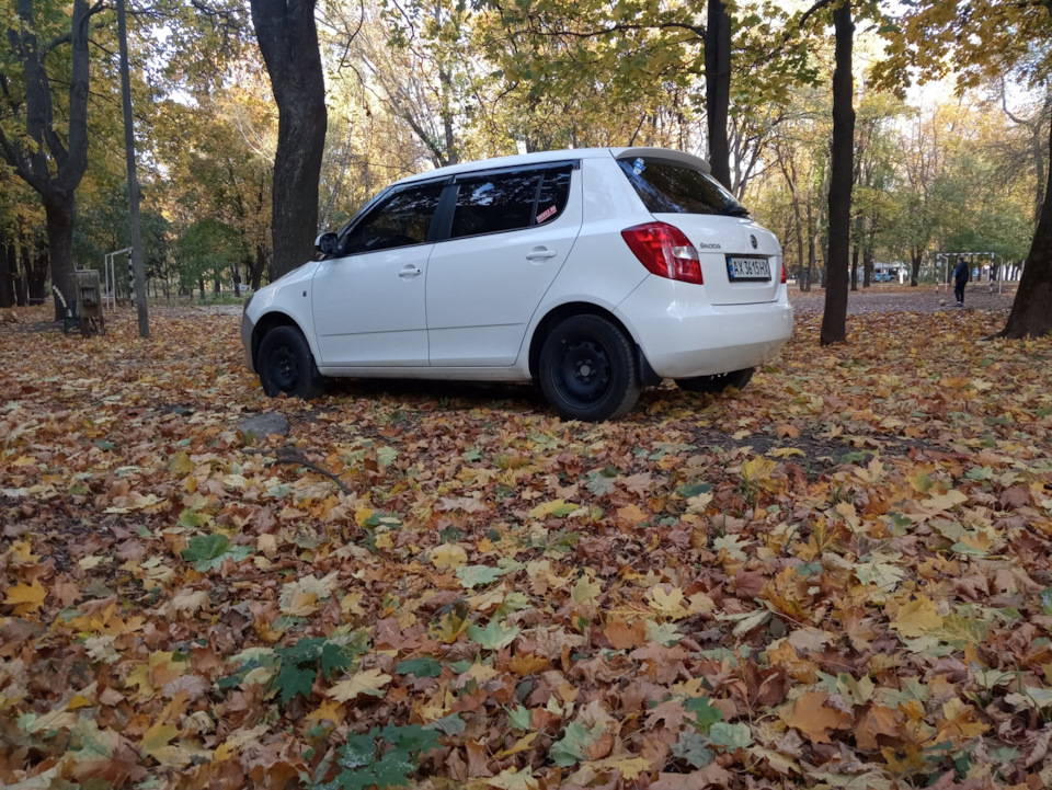 Сніжок. 2
