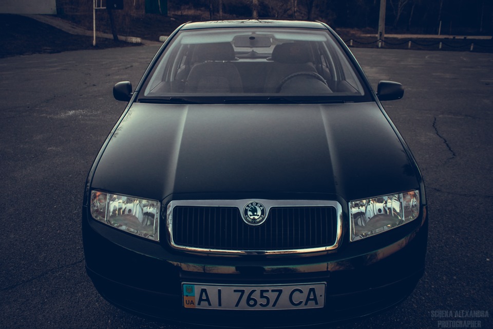 Трохи свіжих фоток)) 5