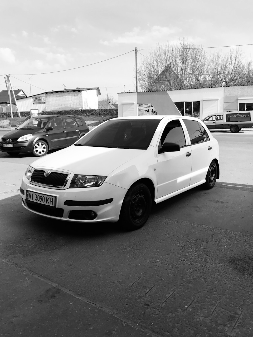 Skoda Fabia заниження -40 2