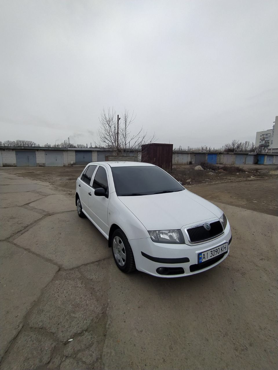 Тонування з лобовим 1