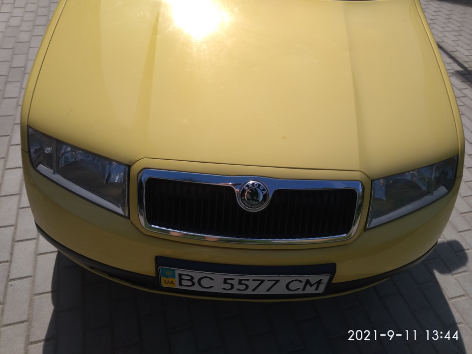 Пара фоток 3
