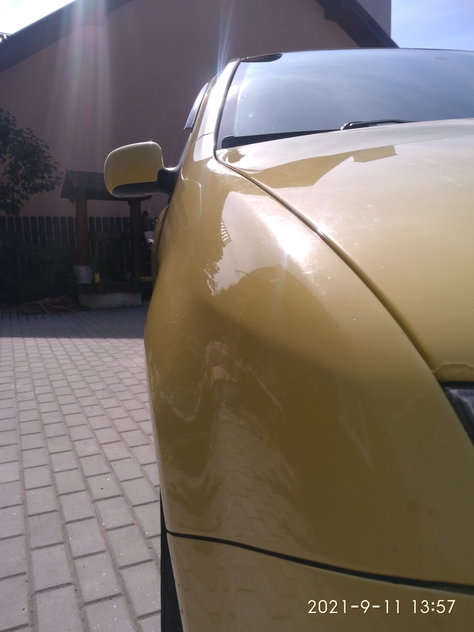 Пара фоток 1