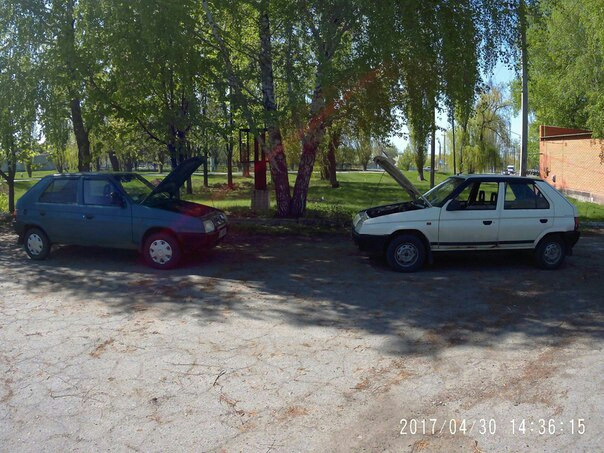 Покотушки 1