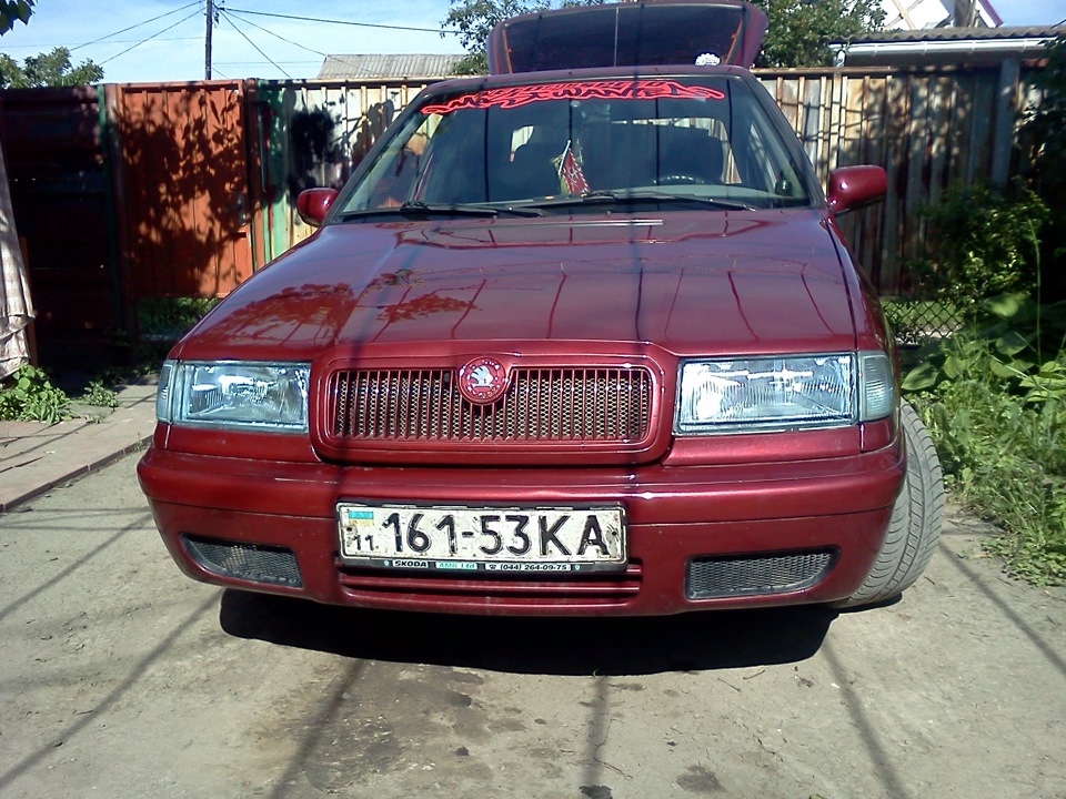 Літній тюніг. 3