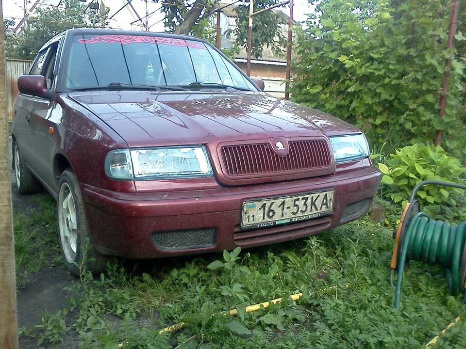 Літній тюніг. 1