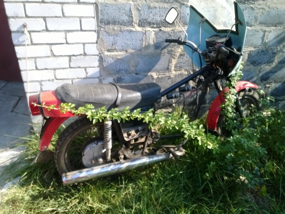 Продам друга дитинства! тимчасовий запис 3