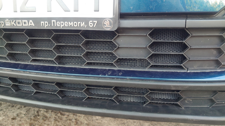 Сітки під решітку радіатора + Чорна окантовка гриля 4