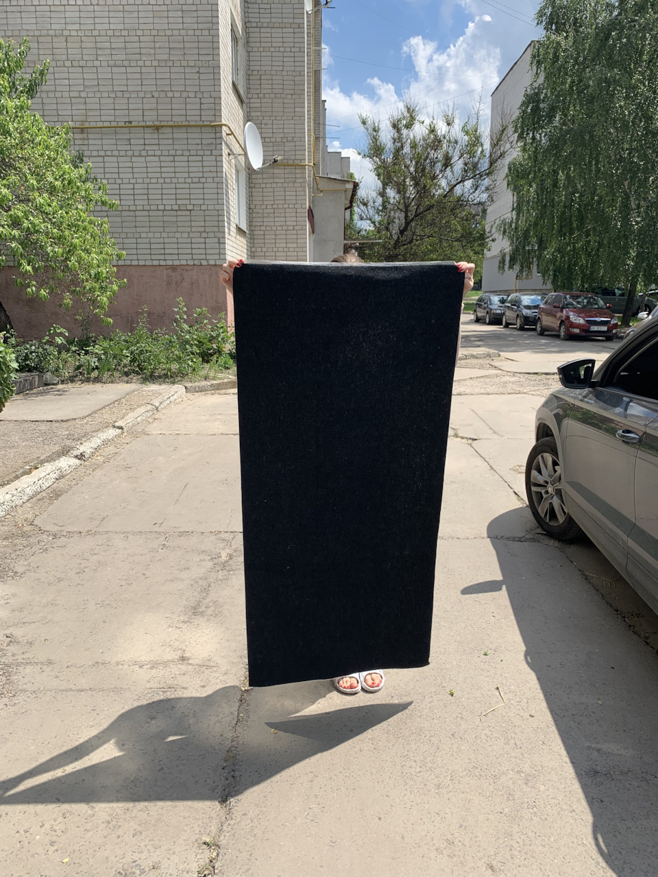 Карпет в кишені 1