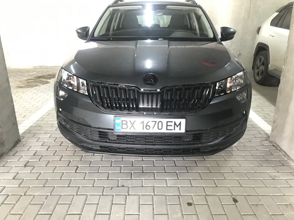 Сітка в бампер 1