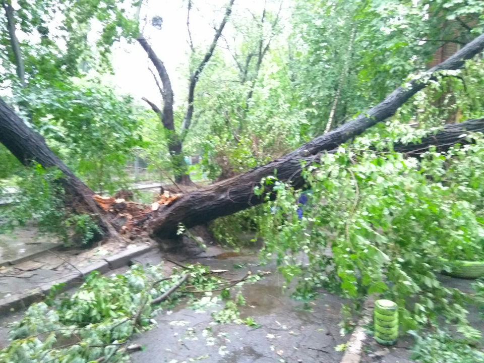 Пронесло… 3