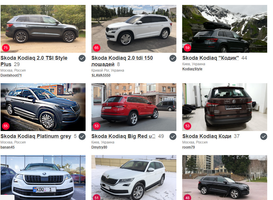 Ведмедиків все більше і більше. Всі купують Kodiaq 1