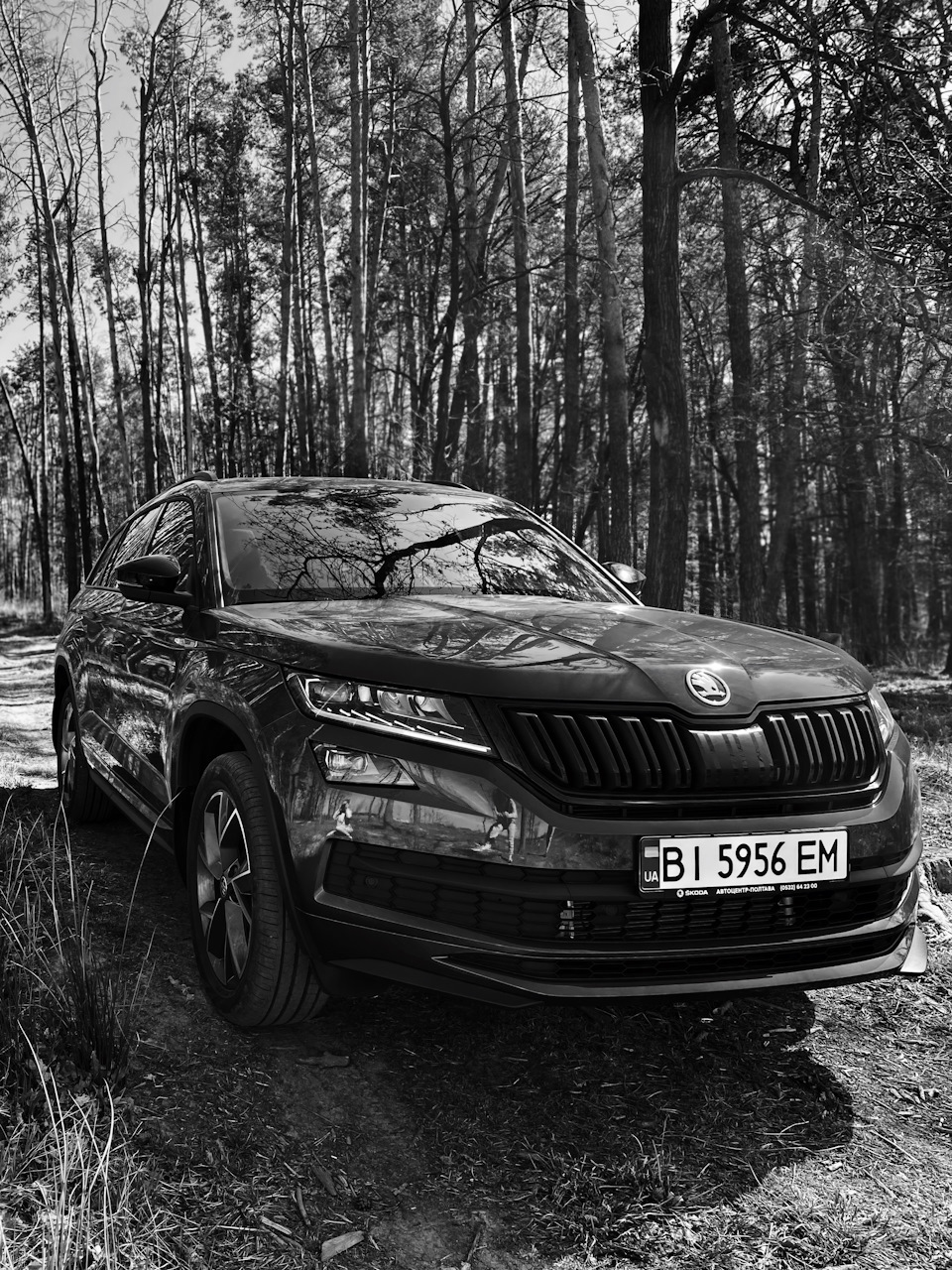 Запис, 19 квітня 2020 року 3