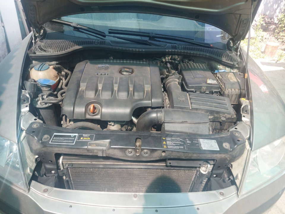 Газовий упор капота Skoda Octavia A5 2