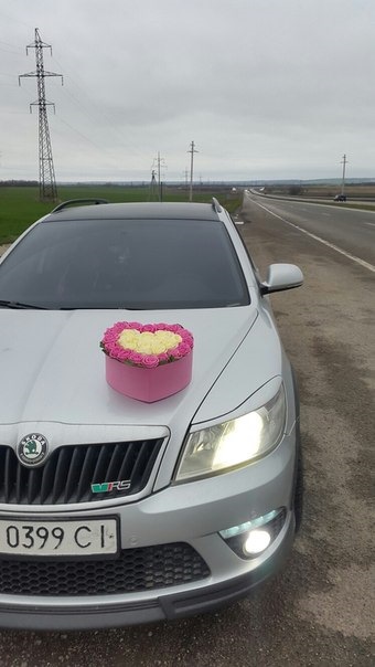 Красуня RS-очка 2