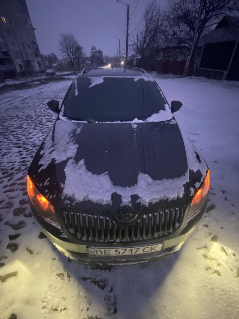 Зробив Американки 1