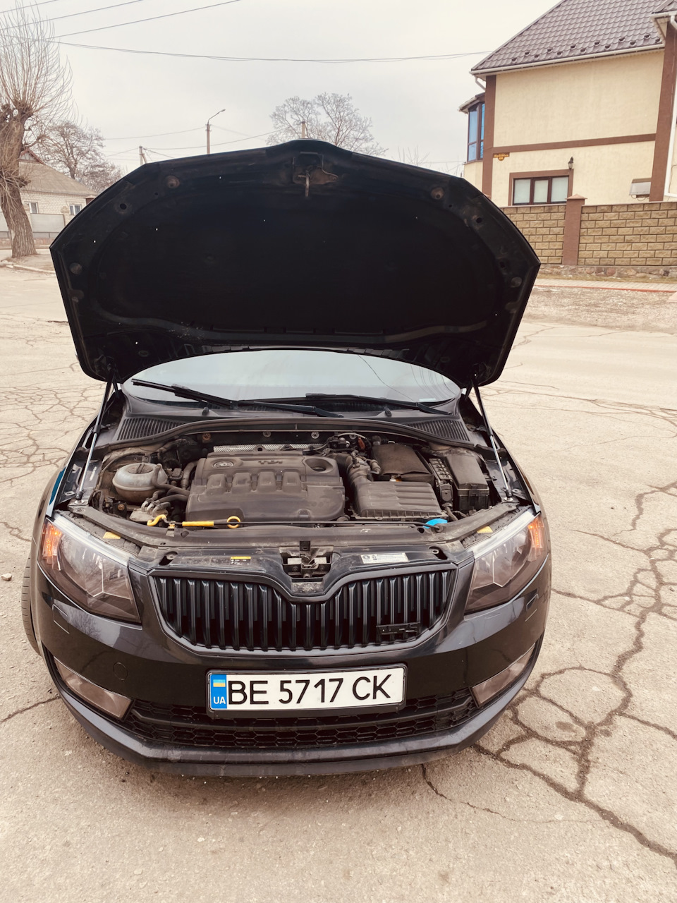 Встановлення газових упорів капота 1