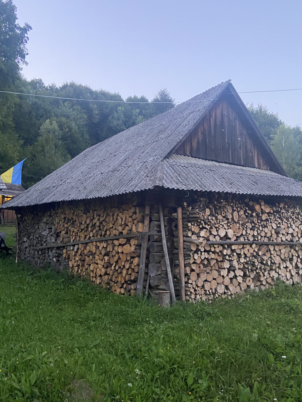 Святковий тріп 2