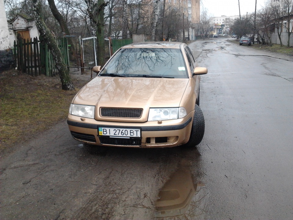 Фоточки 1