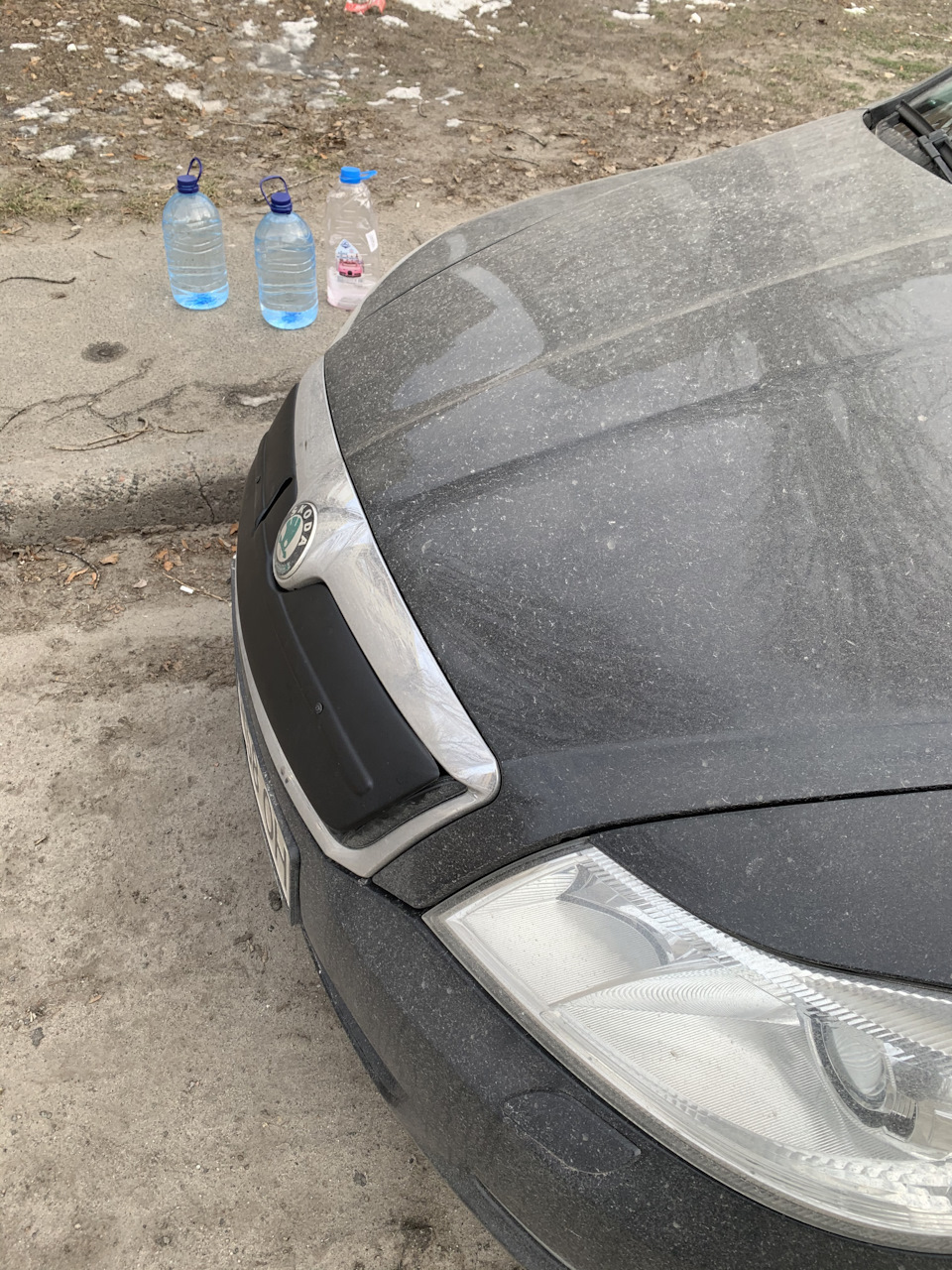 Накладка на решітку радіатора 1