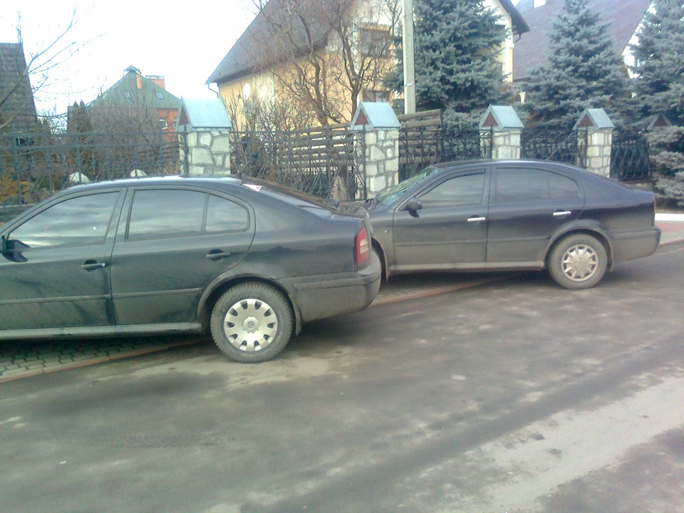 Зустріч сестрички 1