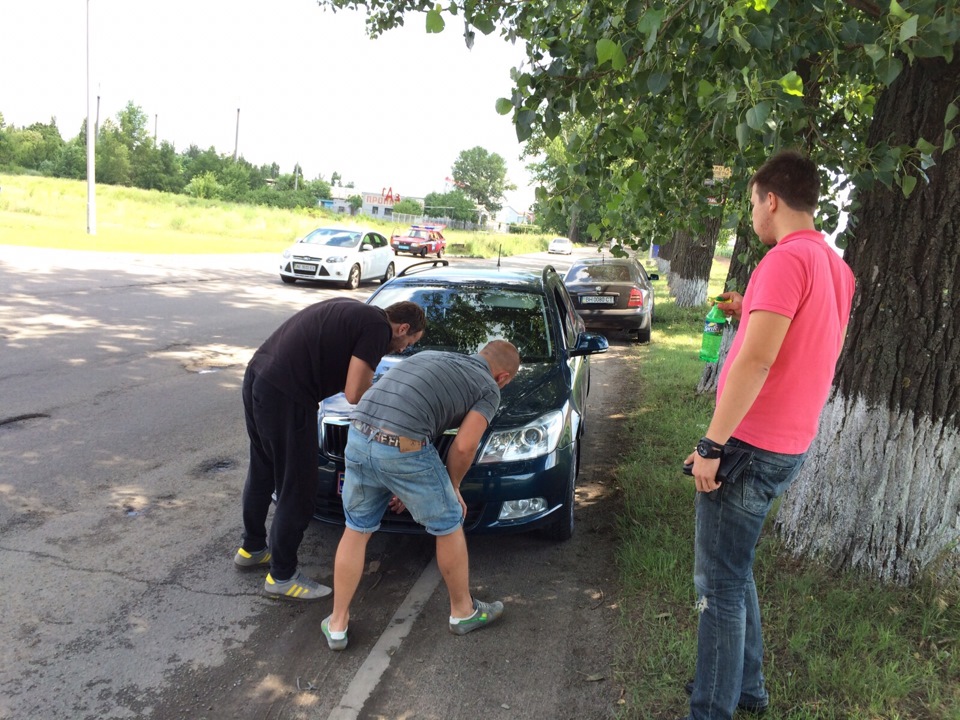 Історія одного дня, або знайомство з Hildi! 5