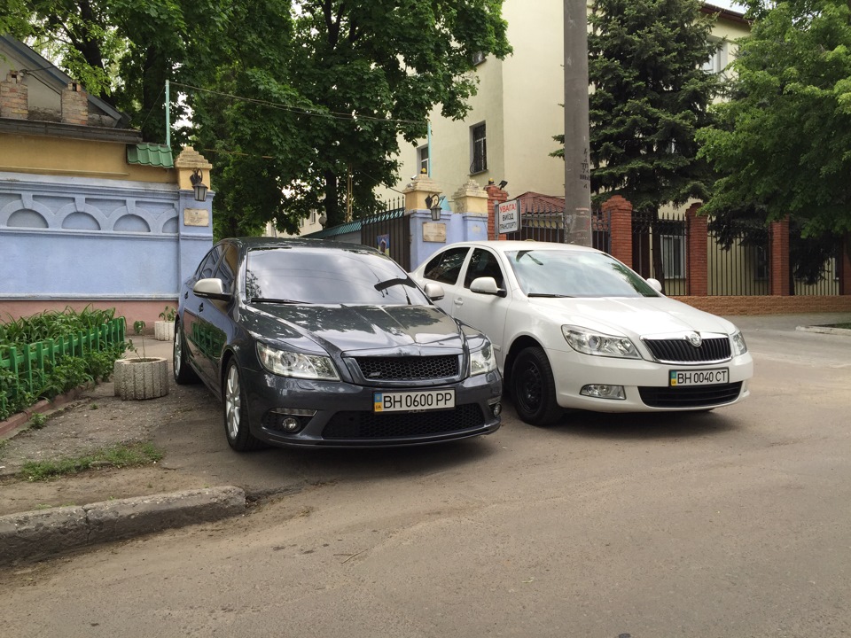 Історія одного дня, або знайомство з Hildi! 3