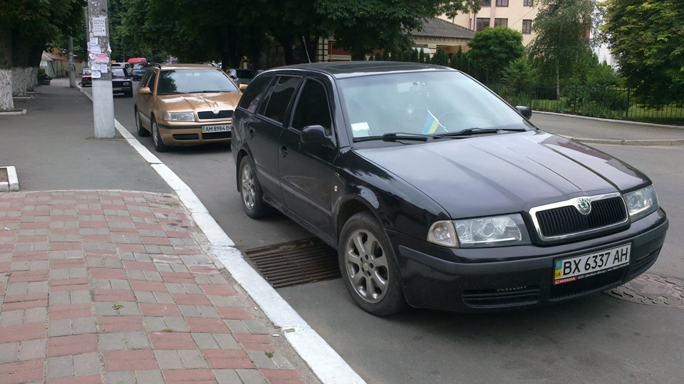 Вони не байдужі) 1