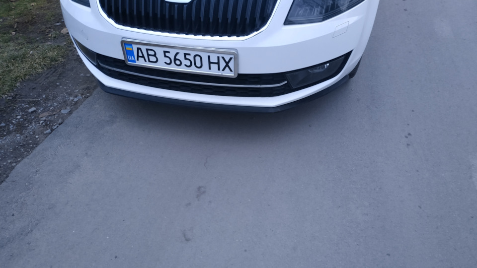 Губа) 1